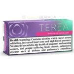 Terea Purple Wave Sigara