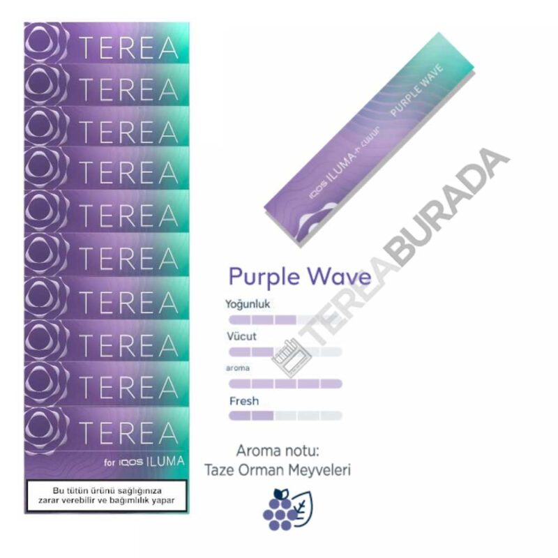 Terea Purple Wave Sigara