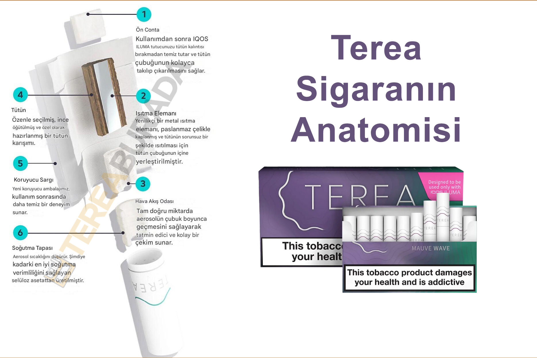 Terea Sigara Nedir?